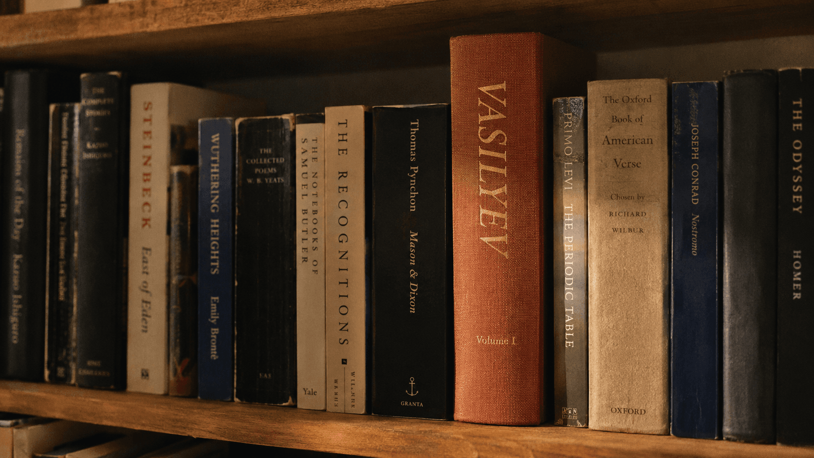A home bookshelf with a tall terracotta-cloth hardcover spine reading "Vasilyev — Volume I" standing among ordinary novels