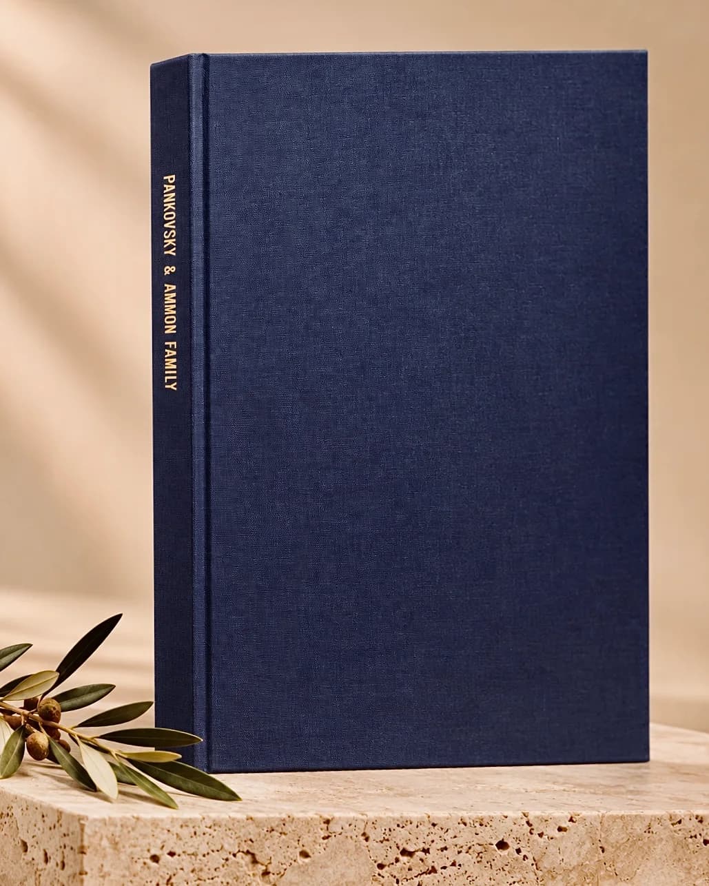 The printed Heirloom book: the cover